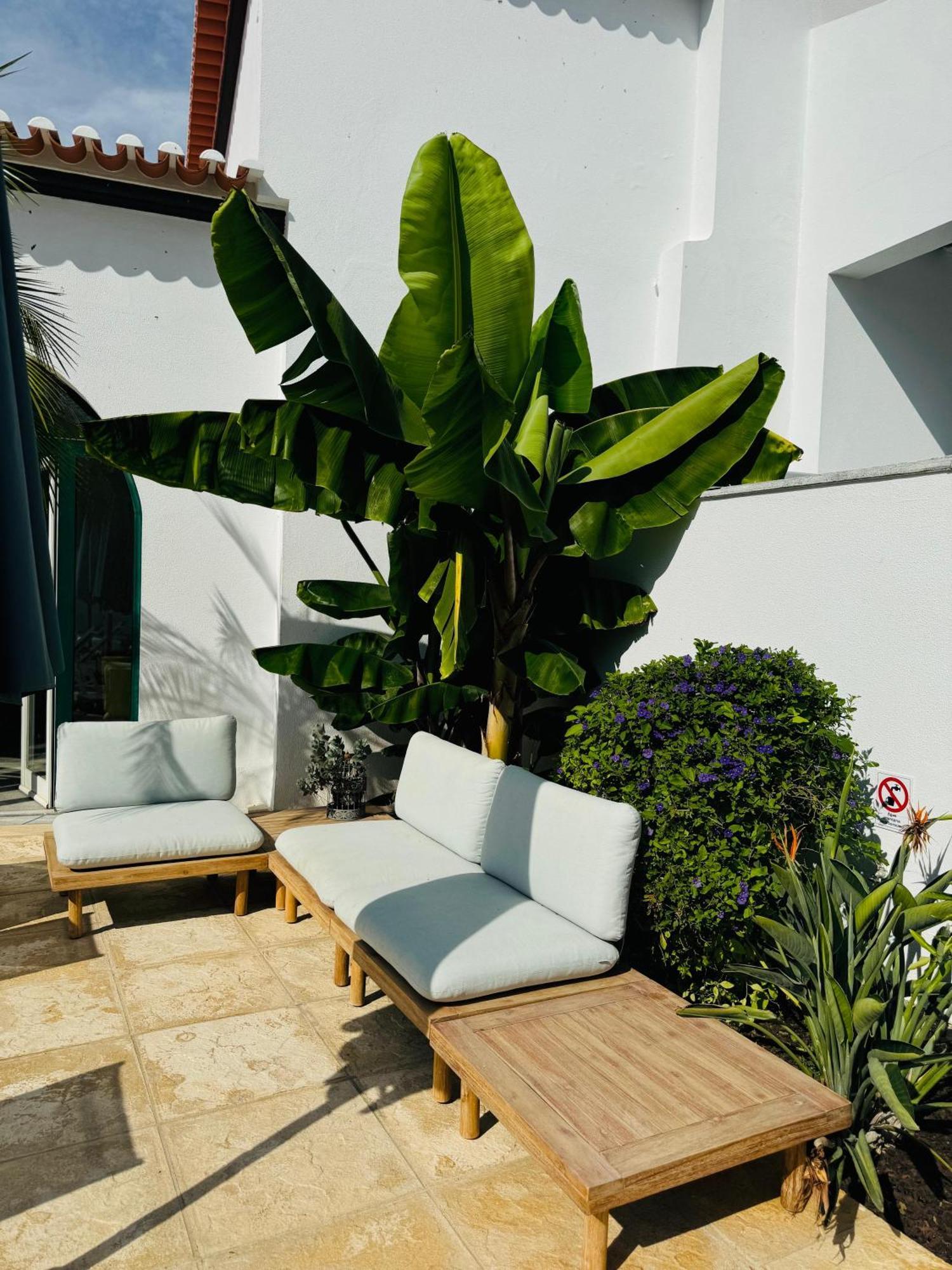 Solar Dos Frades Otel Ferreira Do Alentejo Dış mekan fotoğraf